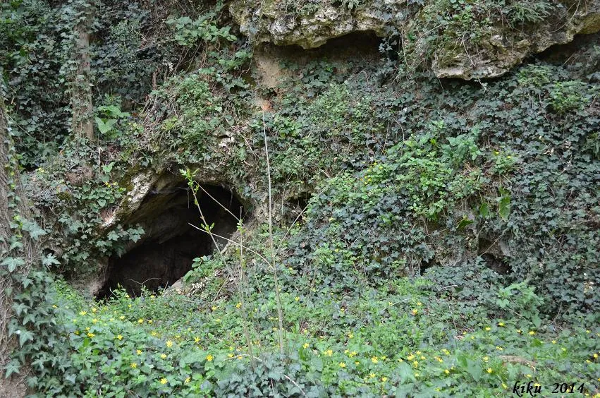 Cova de l'Arbreda Petita