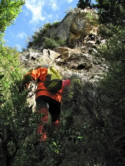 Túnel del Torrent de Fontfreda