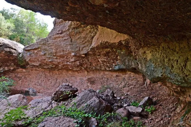 Balma del Torrent de l'esbarzer