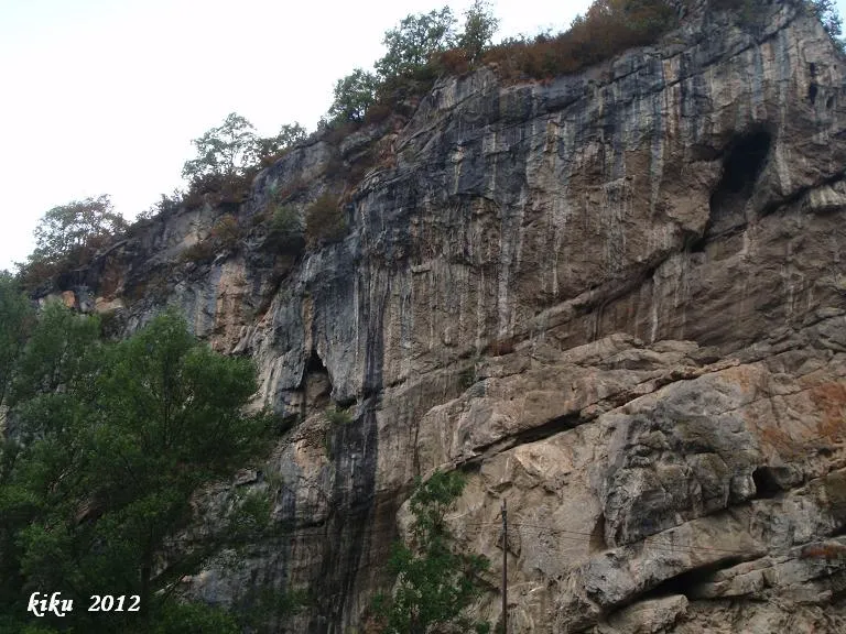 Coves de Ribes