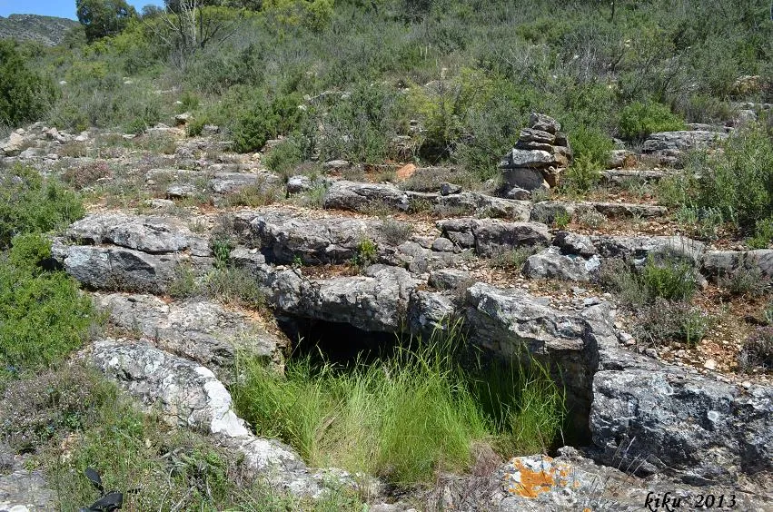 Baborell d'en Remigio