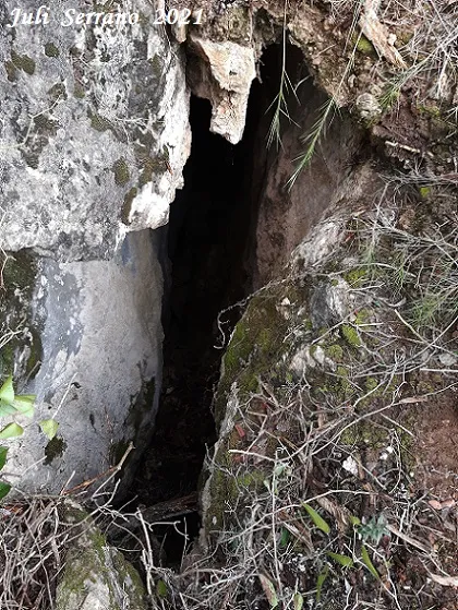 Esquerda Nº6 del Mas de les Fonts