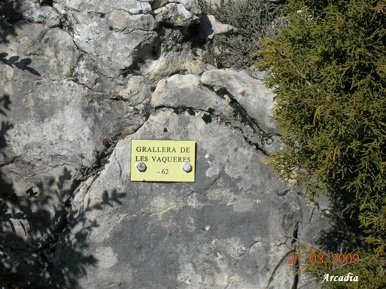 Graller de les Vaqueres
