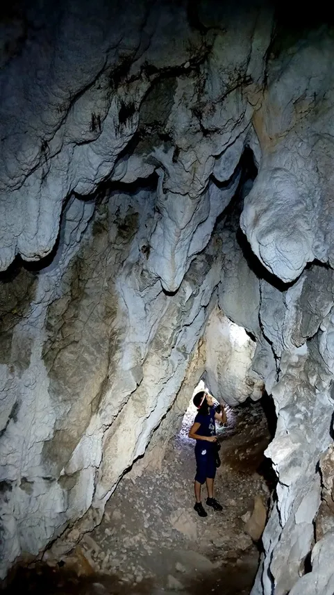 Foto Cova de l'Estret del Bosc de Quer
