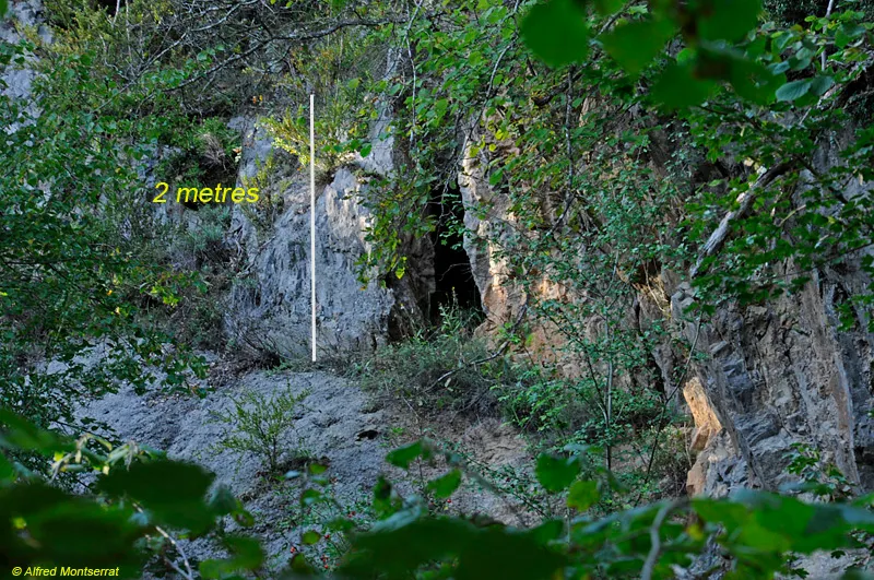 Cova del Pont