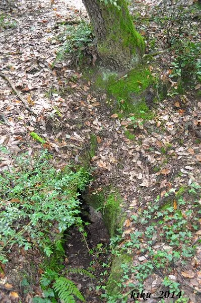 Avenc d'en Casadevall