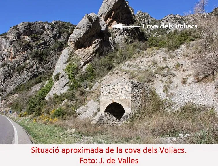 Cova dels Voliacs