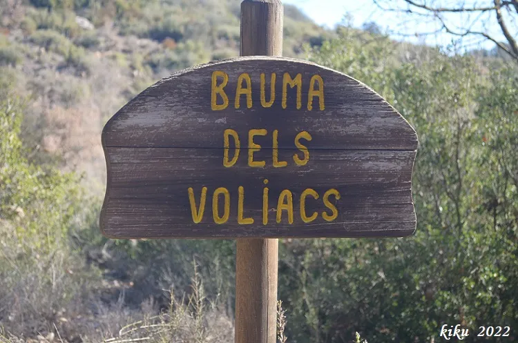 Bauma dels Voliacs