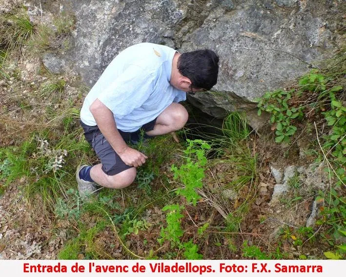 Avenc de Viladellops