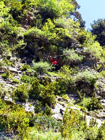 Cova del Desertor