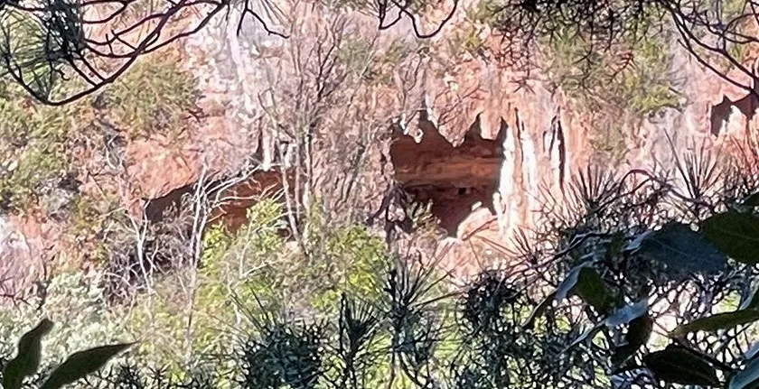 Cova Boca de Drac