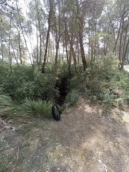 Avencó Clar Nº4