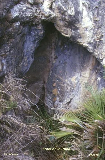 Forat de la Ruda