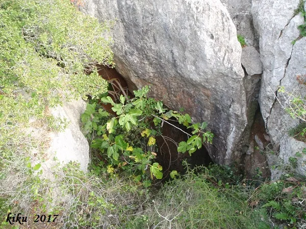 Cau del Còrrec de les Guilles