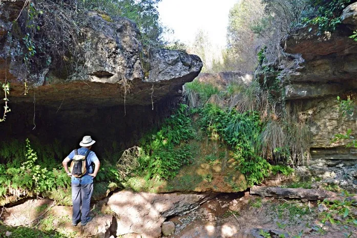 Balma de les Maioles