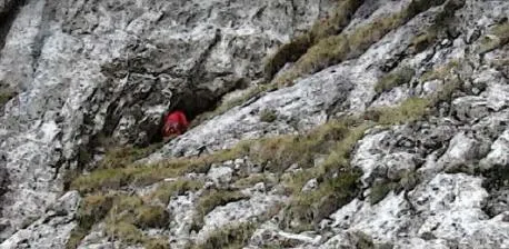 Grallera del Carabasser