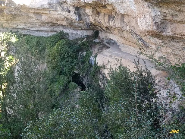 Balma Inferior de Roca Gironella
