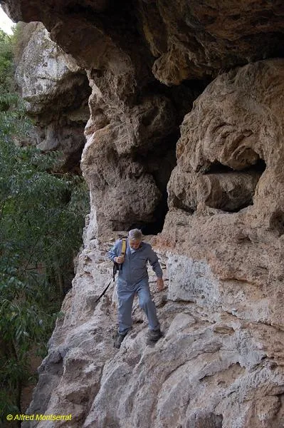 Cova del Temple