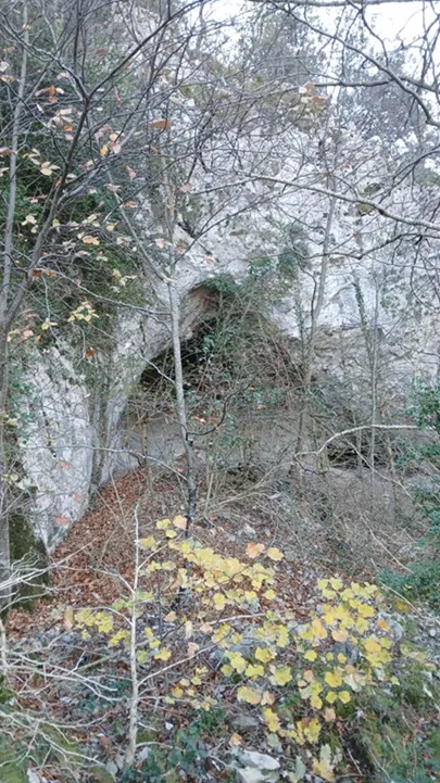 Cova de les Tarteres