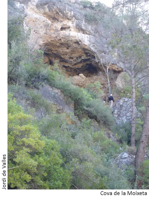 Cova de la Moixeta