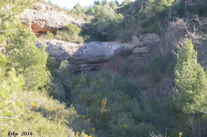 Cova del Potau