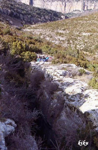 Grallera d'Alsamora