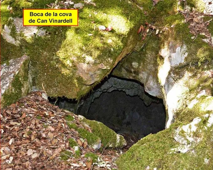 Cova de Can Vinardell