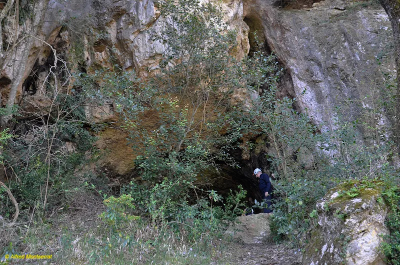 Cova del Drac de Vilarjoan