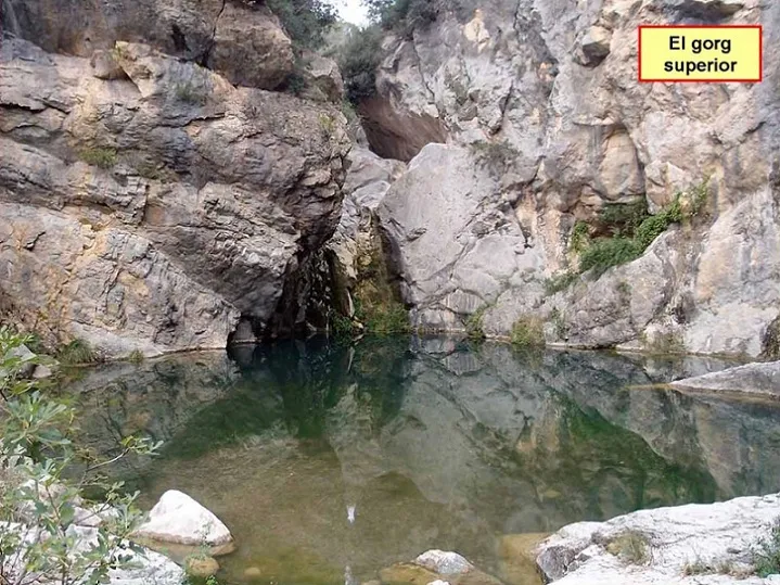 Cova dels Gorgs del Borró
