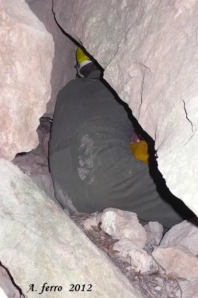 Cova Falsa
