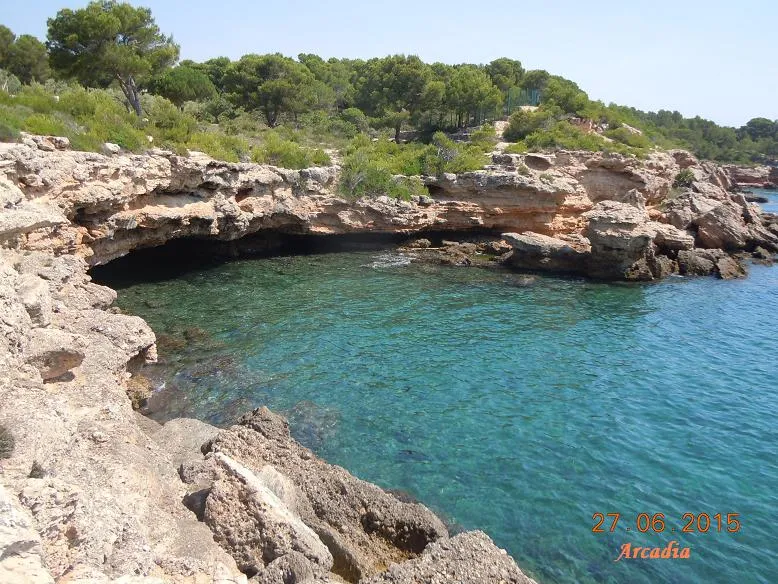 Cova del Llop Marí