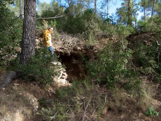 Cova del Pelut