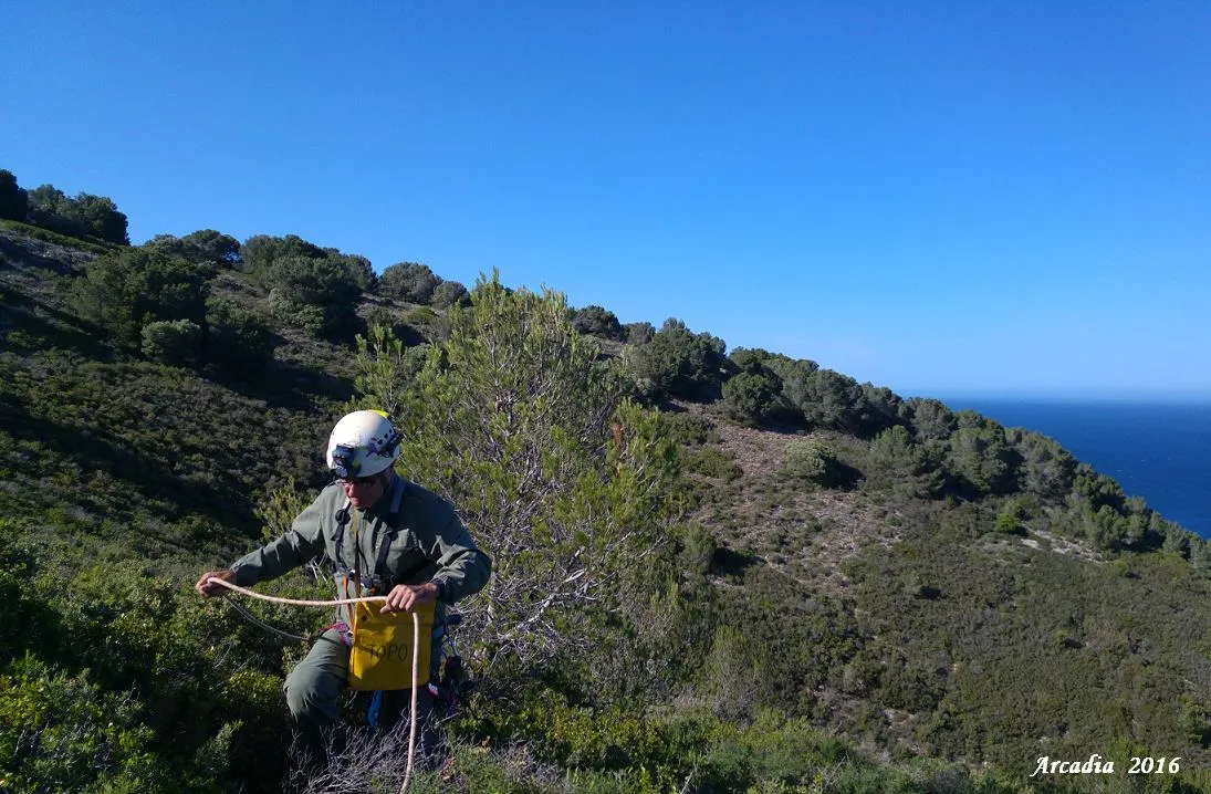 Avenc Petit del Solei de la Pedrosa