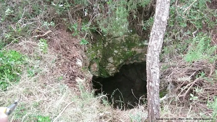 Avencó Clar Nº5