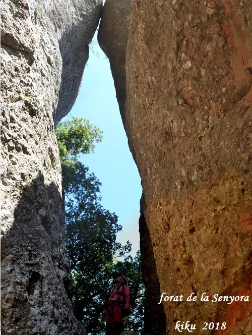 Cova Gran de les Fogueroses