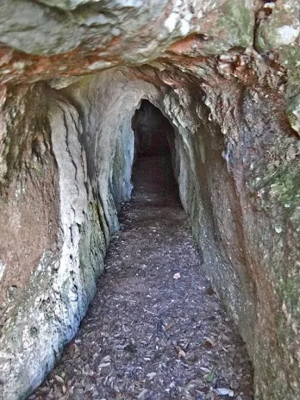 Cova de la Canal Freda