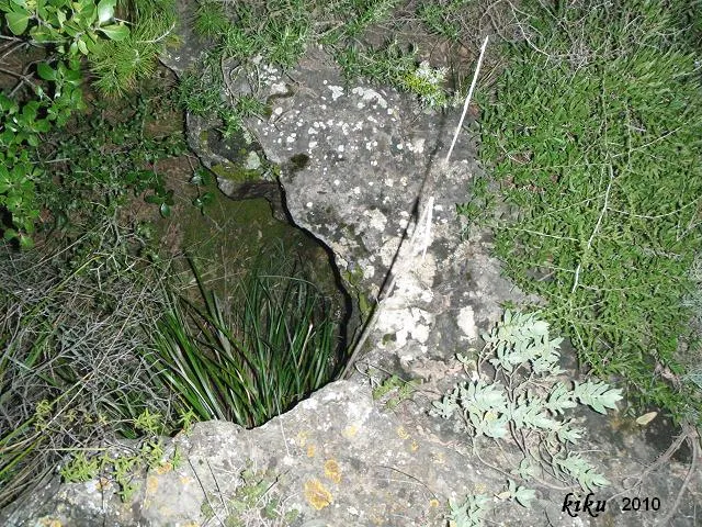 Avenc del Fus