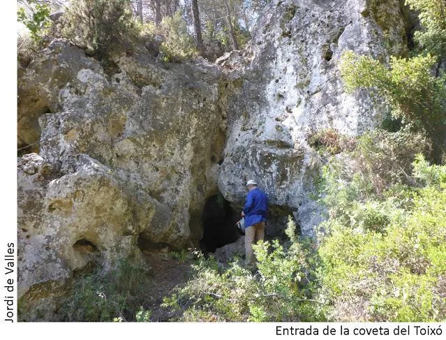 Coveta del Toixó