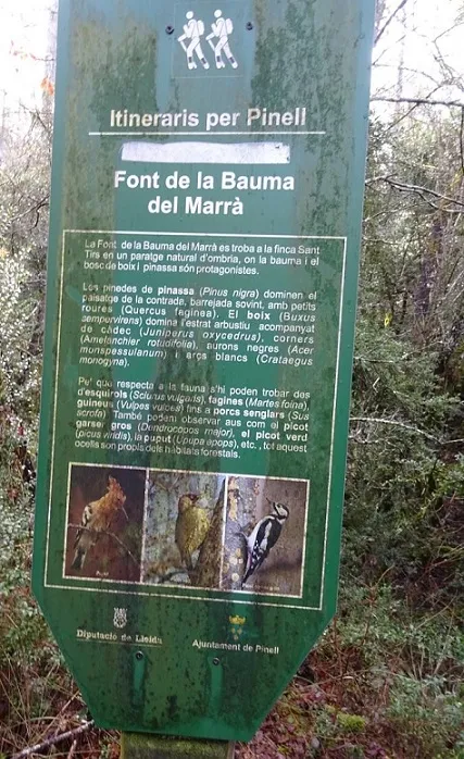 Bauma de la Font del Marrà