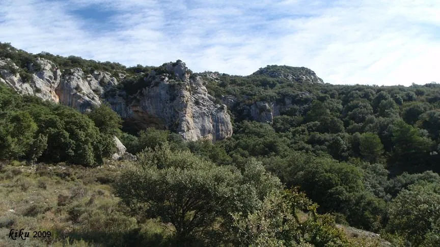 Espluga d'en Ponsà Nº2