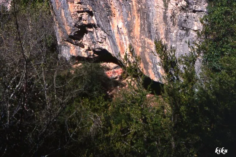 Cova del Mandril
