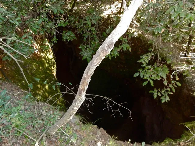 Avenc del Sot de la Carda