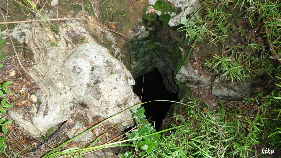 Avenc del Pastor