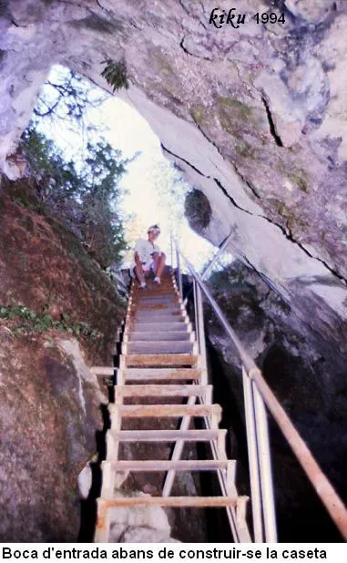 Cova de l'Ormini