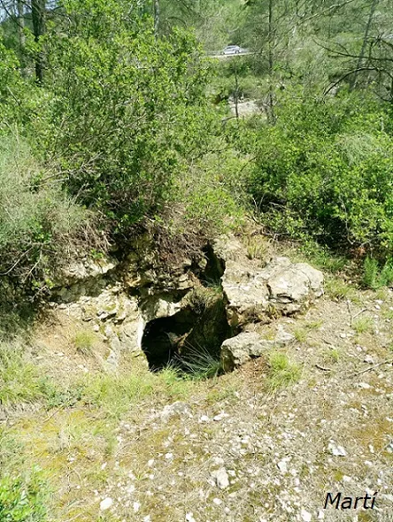 Avenc de la Montse