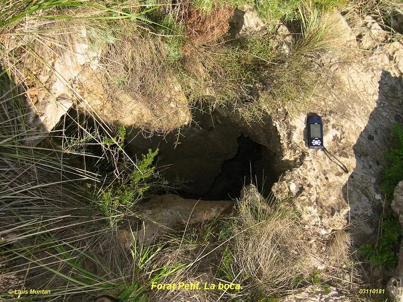 Forat Petit