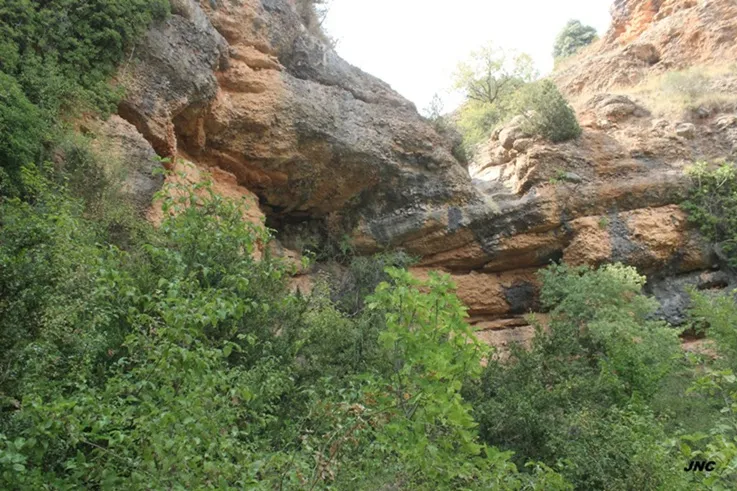 Cova Nº1 les Balçs