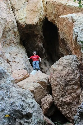 Cova de les Guatlles