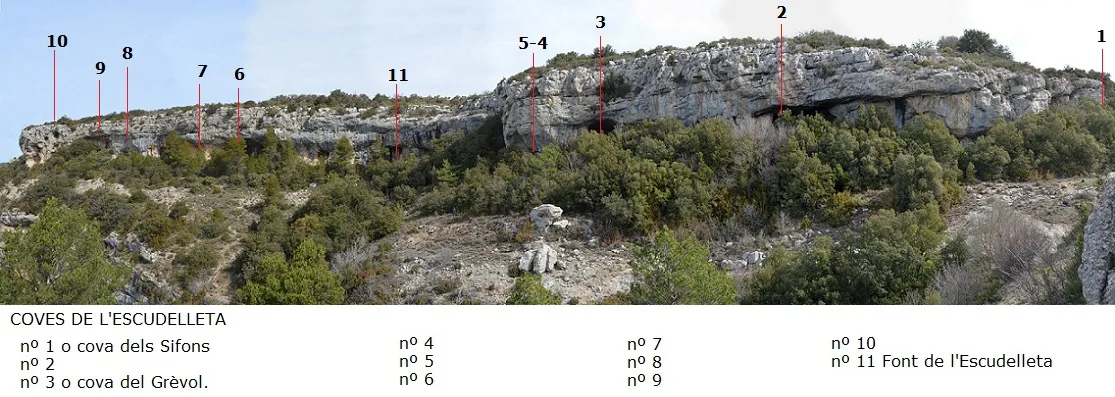 Cova del Grèvol