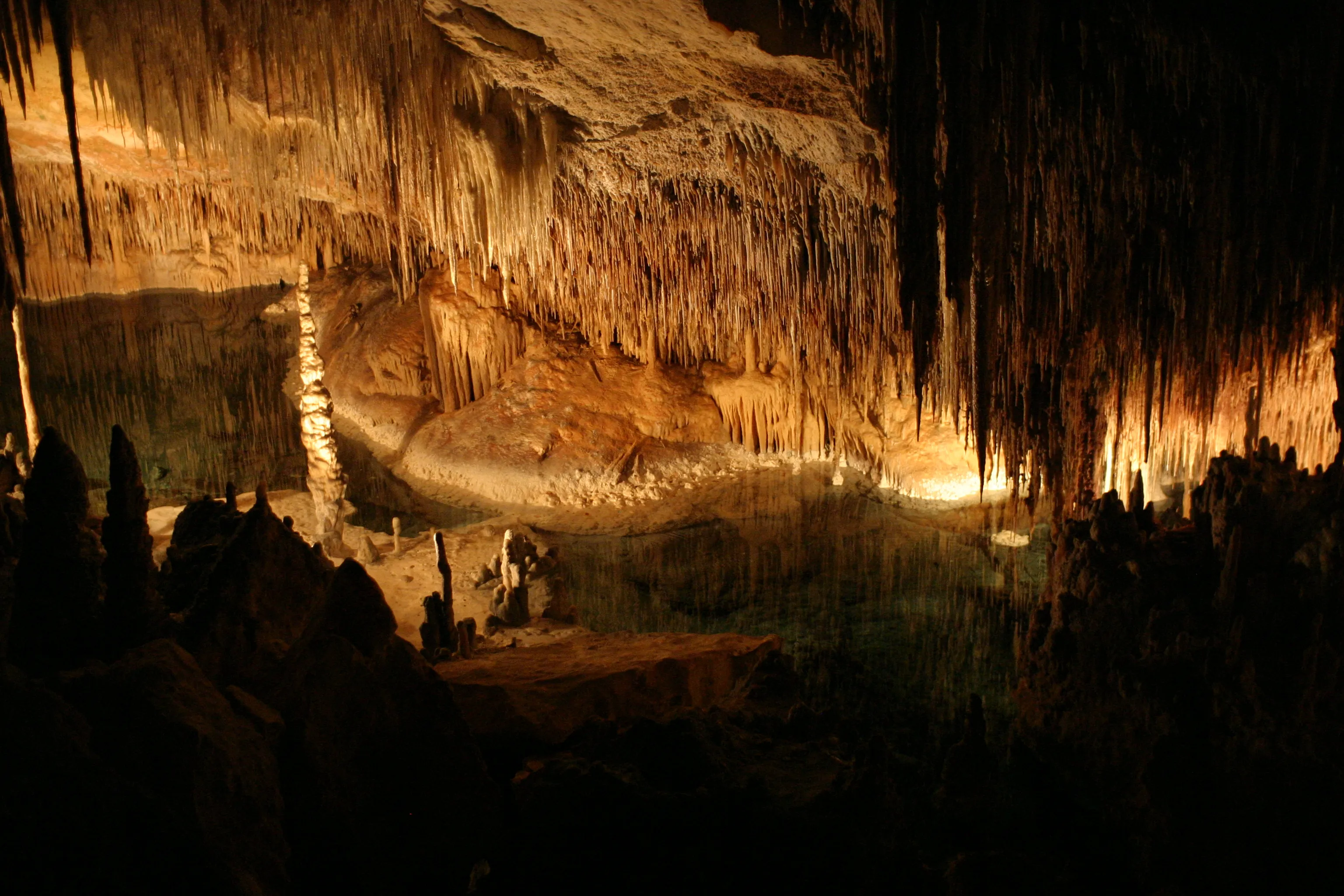 Coves del Drach